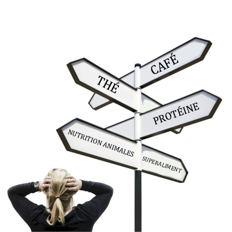 Qu'est-ce que vous emballez?